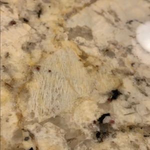 Meet your Posher, Maeve